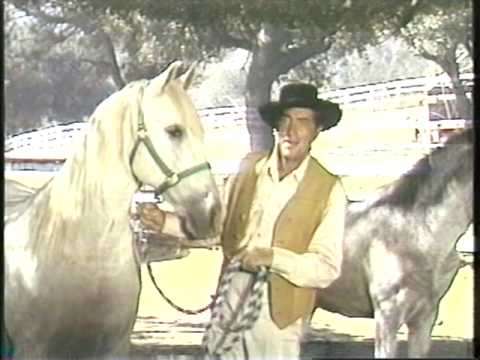 Dean Martin Andalusian Horses